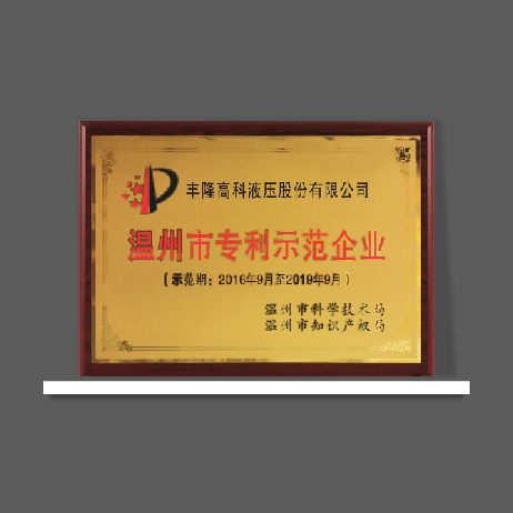 温州市专利示范企业