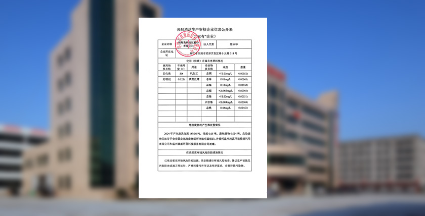 强制清洁生产审核企业信息公开表